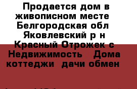 Продается дом в живописном месте - Белгородская обл., Яковлевский р-н, Красный Отрожек с. Недвижимость » Дома, коттеджи, дачи обмен   